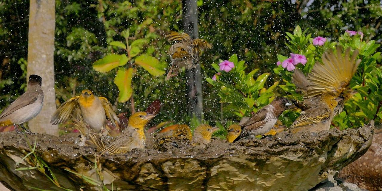 Kingfishers Khaya Sodwana Bay Luaran gambar